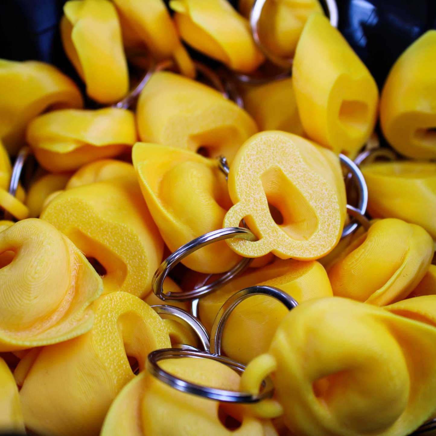 Cappelletto o Tortellino?