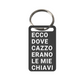 Ecco dove c*azzo erano le mie chiavi